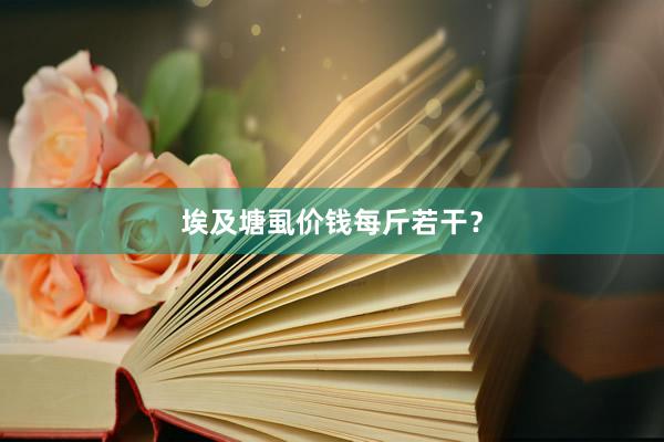 埃及塘虱价钱每斤若干？