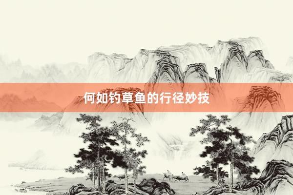 何如钓草鱼的行径妙技