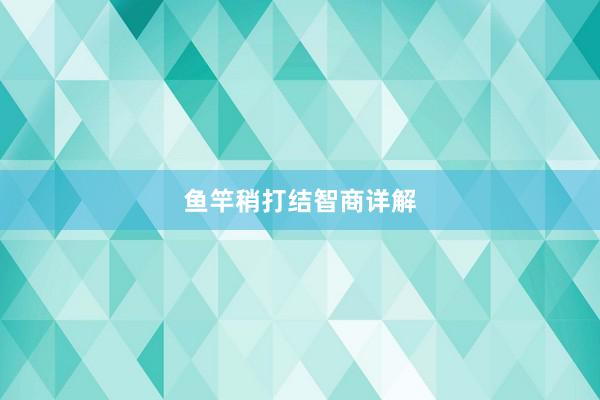 鱼竿稍打结智商详解